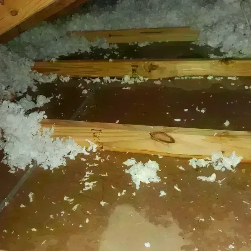 Attic Water Damage in Antioch, CA