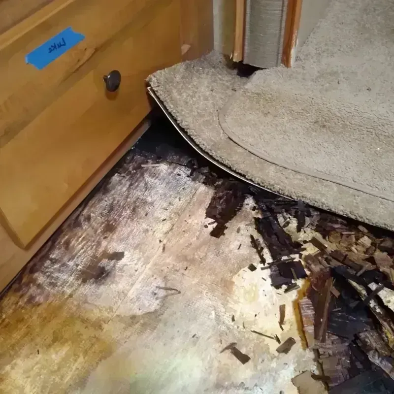 Wood Floor Water Damage in Antioch, CA